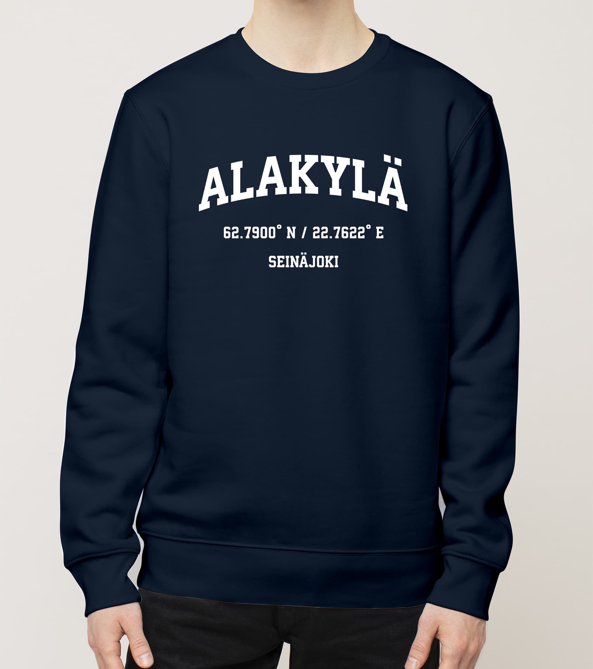 Seinäjoki - Alakylä, Koordinaatit, college - Image 4