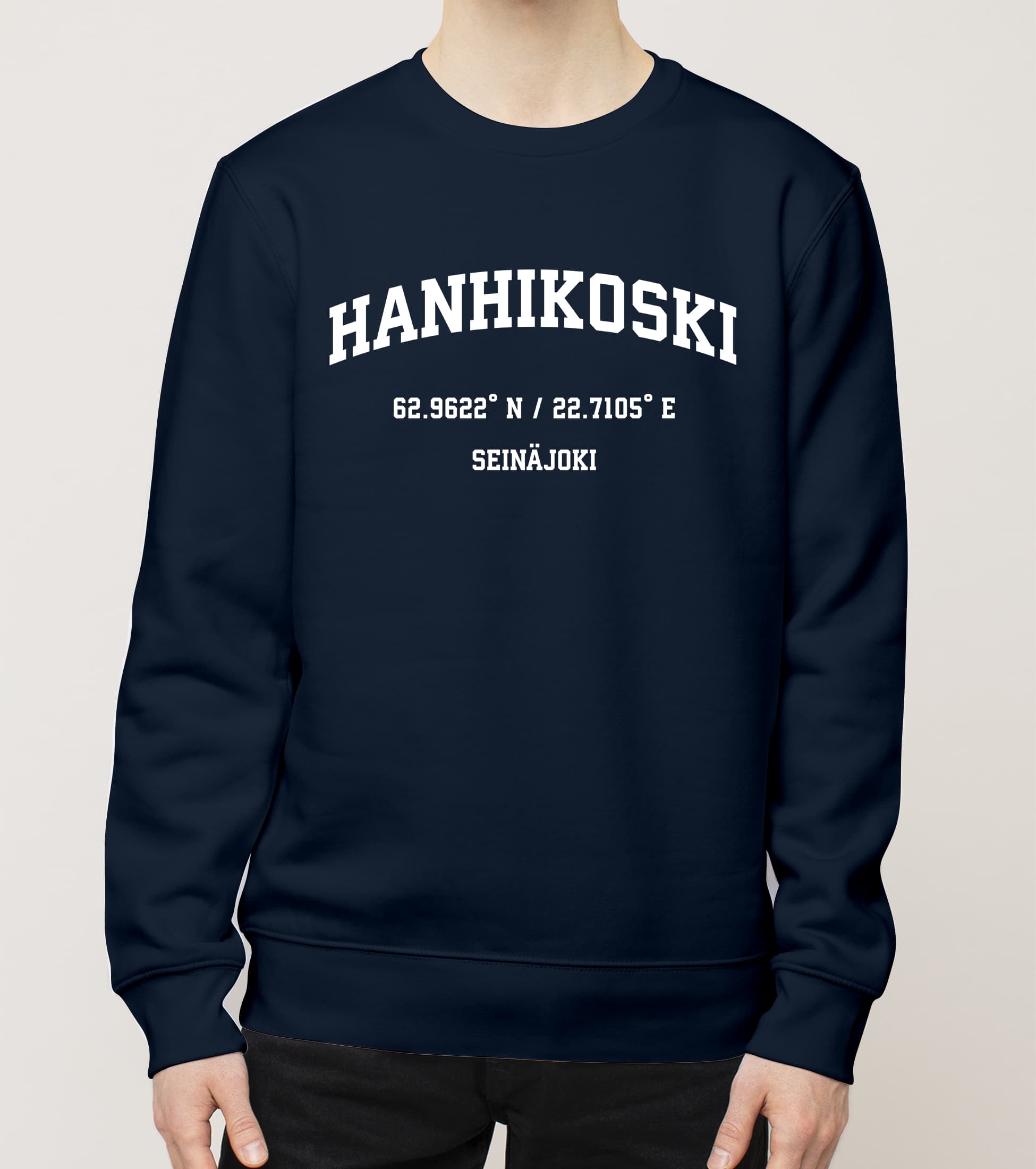 Seinäjoki - Hanhikoski, Koordinaatit, college - Image 4