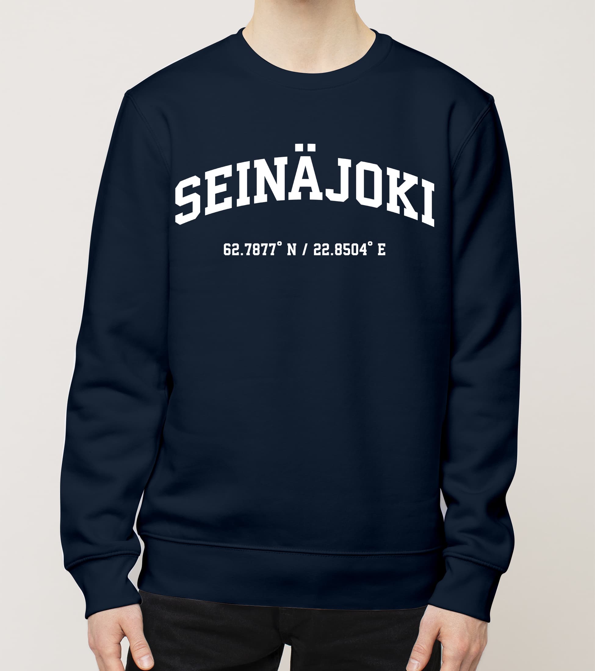 Seinäjoki - Seinäjoki, Koordinaatit, college - Image 4