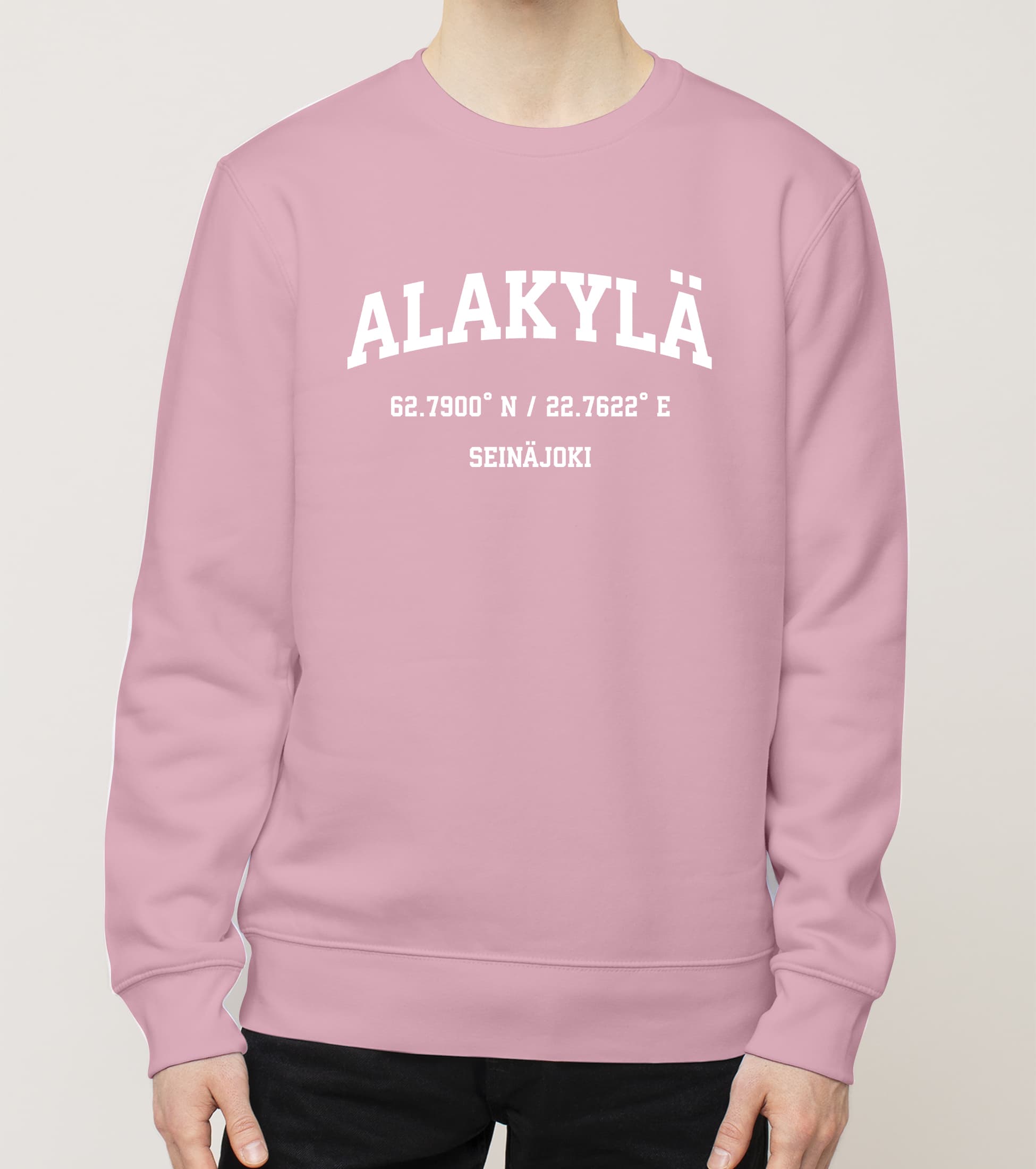 Seinäjoki - Alakylä, Koordinaatit, college - Image 3