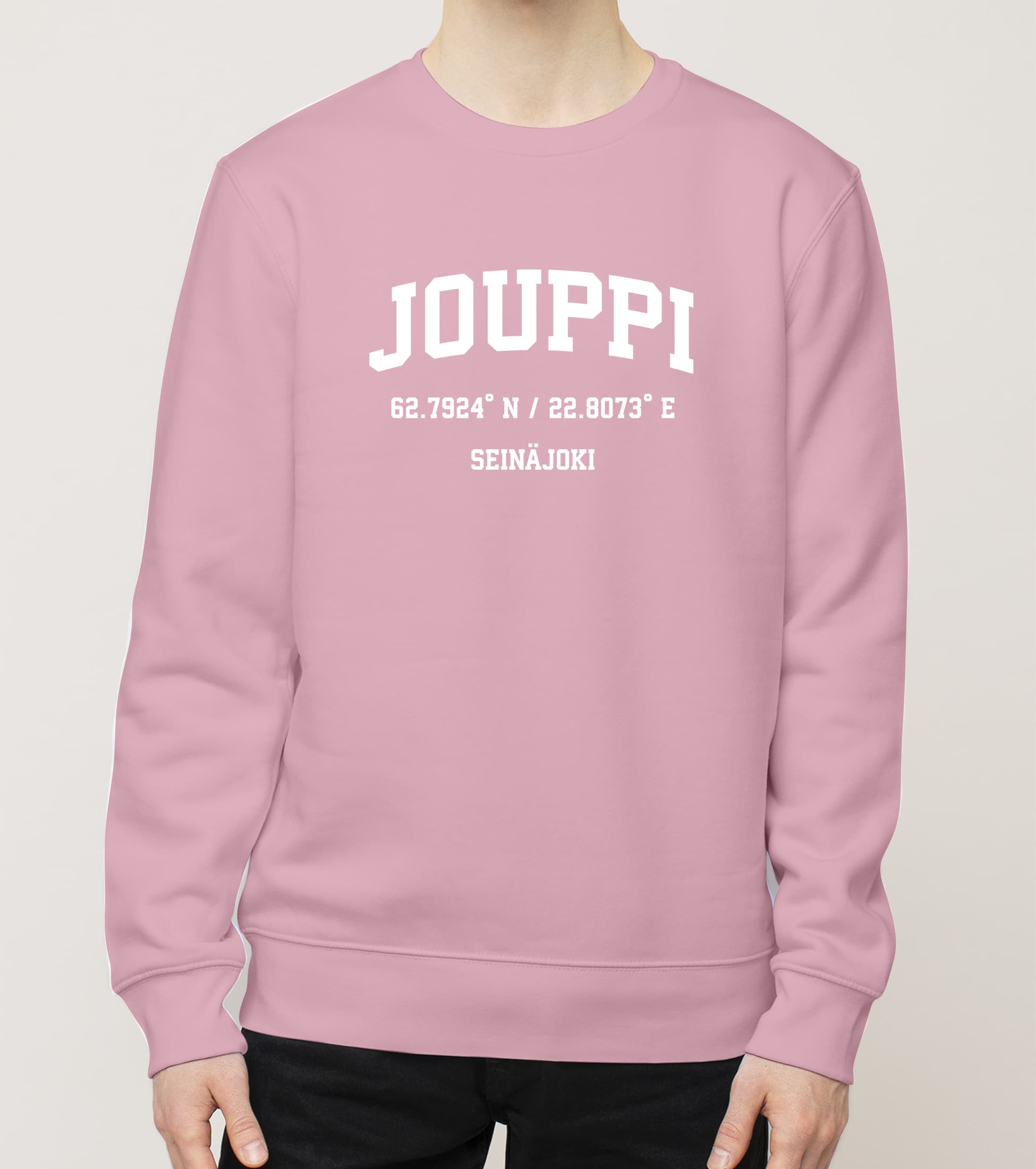 Seinäjoki - Jouppi, Koordinaatit, college - Image 3