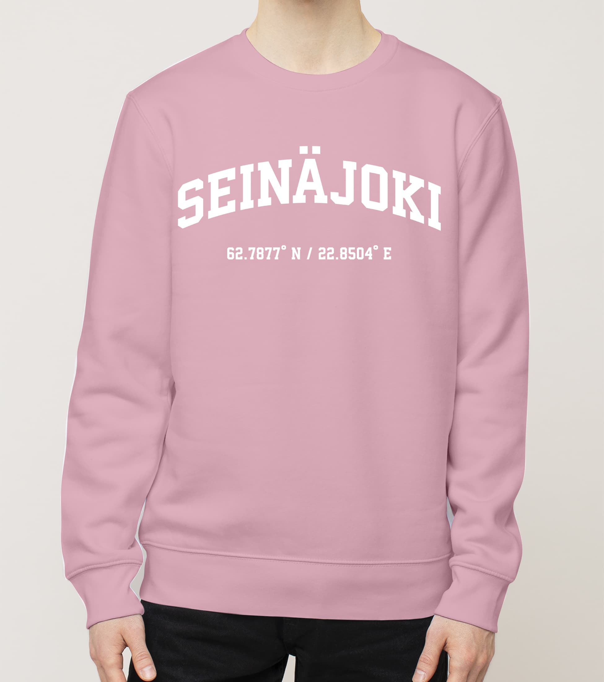 Seinäjoki - Seinäjoki, Koordinaatit, college - Image 3