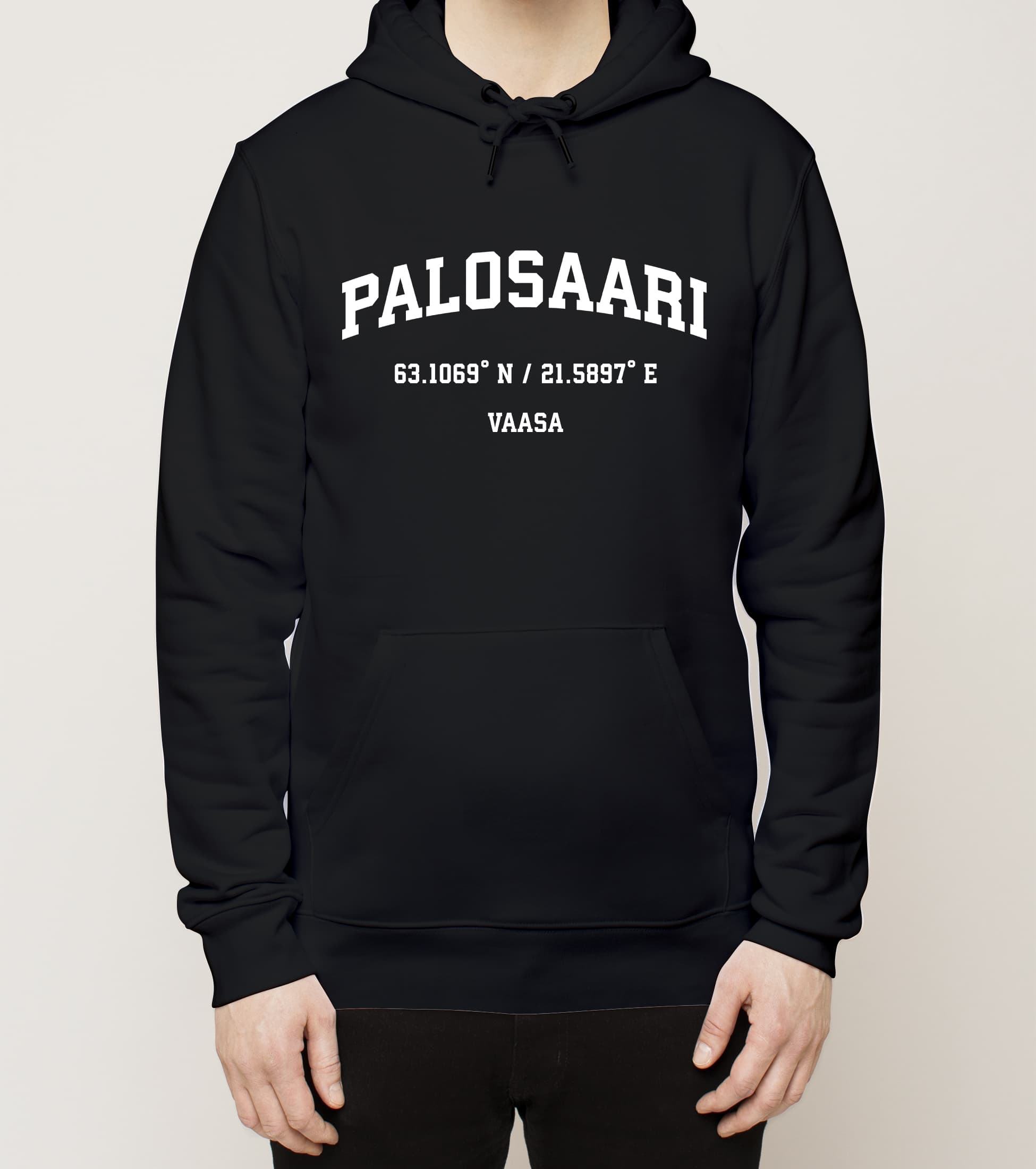 Vaasa - Palosaari, Koordinaatit, huppari