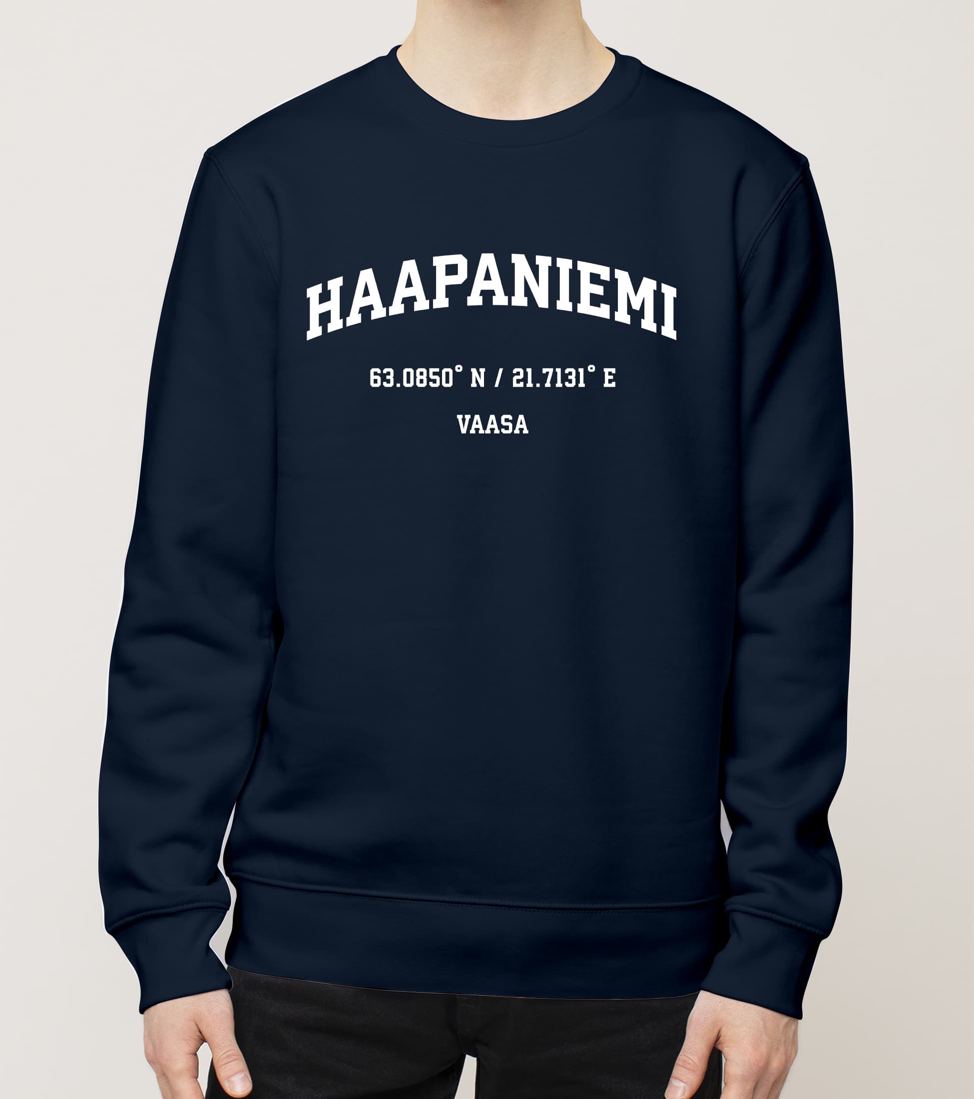 Vaasa - Haapaniemi, Koordinaatit, college - Image 2