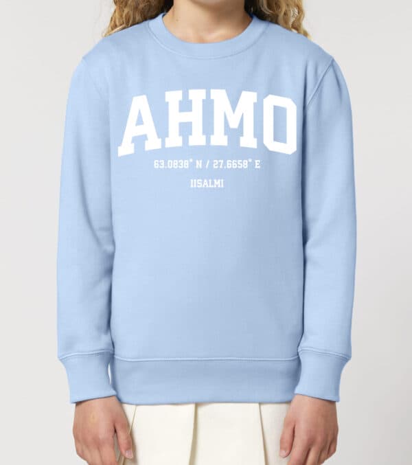 Iisalmi - Ahmo, Koordinaatit, lasten college