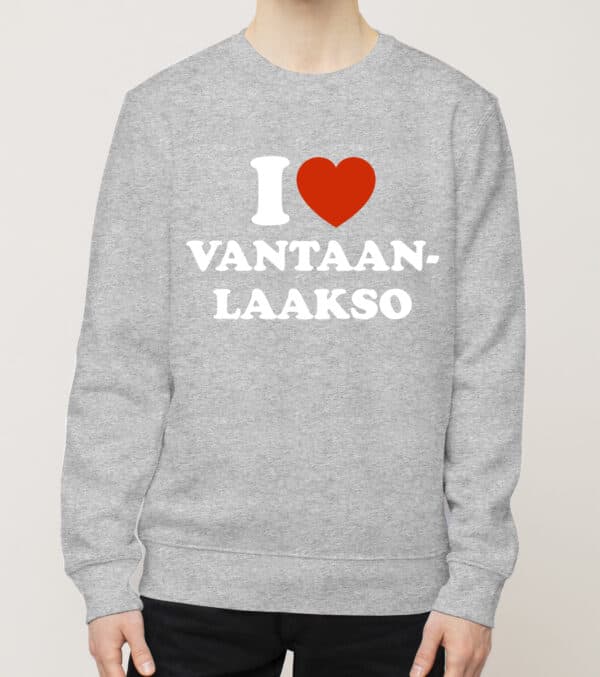Vantaa - Vantaanlaakso, Love, college
