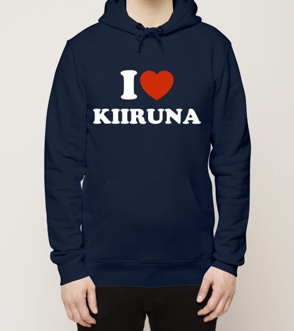 Rovaniemi - Kiiruna, Love, huppari