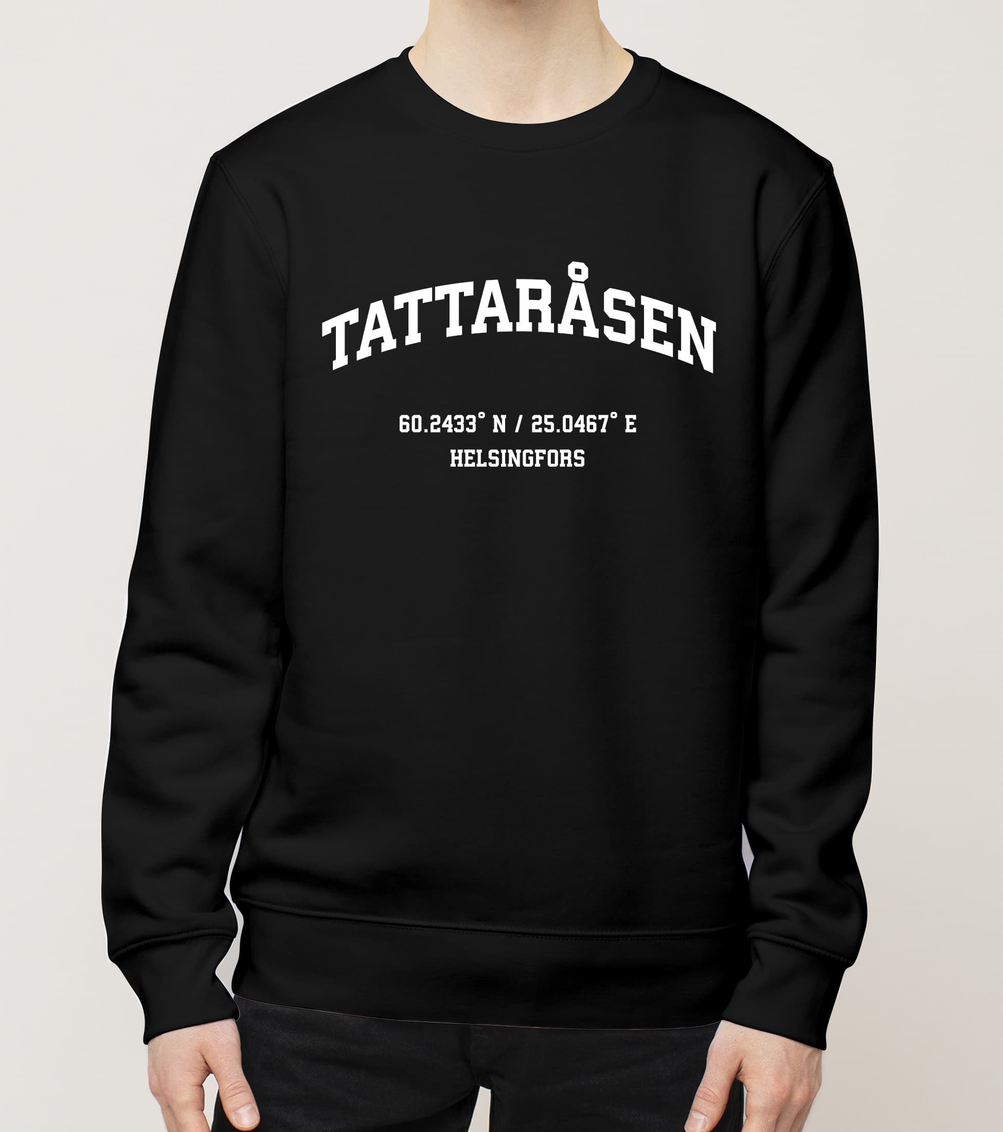 Helsingfors - Tattaråsen, Koordinaatit, college