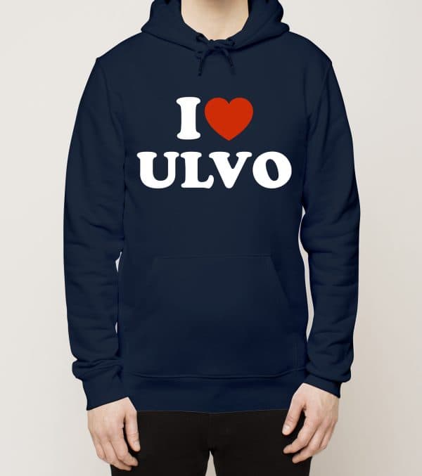 Soini - Ulvo, Love, huppari