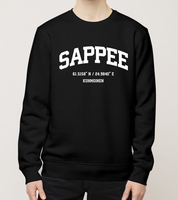 Kuhmoinen - Sappee, Koordinaatit, college