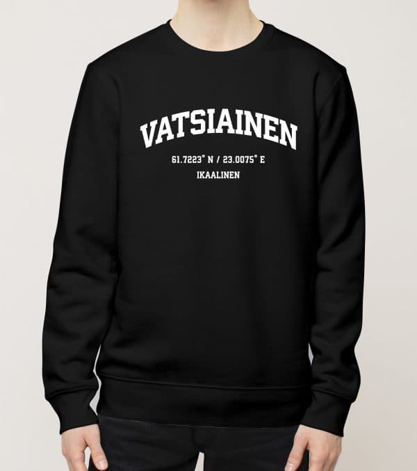 Ikaalinen - Vatsiainen, Koordinaatit, college