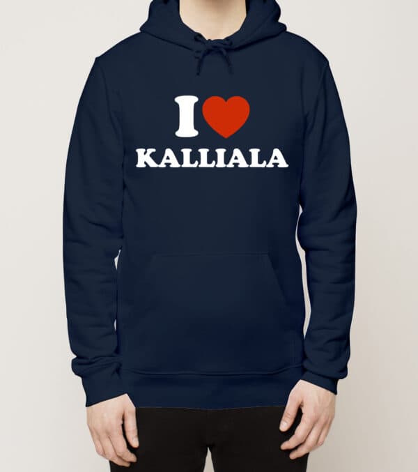 Sastamala - Kalliala, Love, huppari