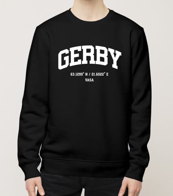 Vasa - Gerby, Koordinaatit, college